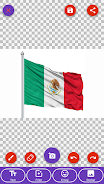 Mexico Flag Wallpaper: Flags a Screenshot