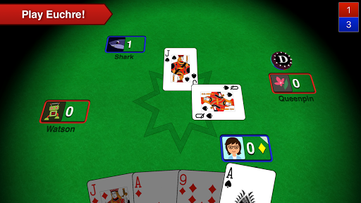 Euchre 3D  screenshots 1