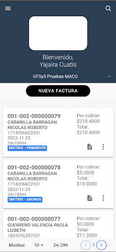 Global Finances Accounting Screen 2