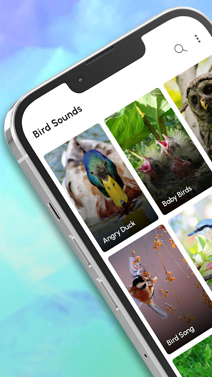 Bird Calls, Sounds & Ringtones - 14.0.3 - (Android)
