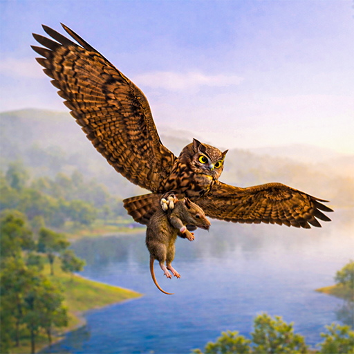 Wild Owl Games: Bird Simulator