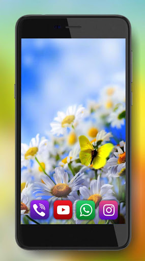 Camomiles Live Wallpaper