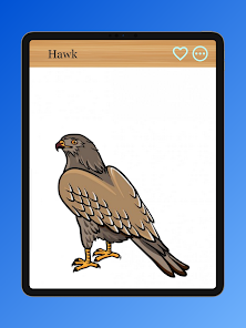 Imágen 21 Cómo dibujar aves rapaces android