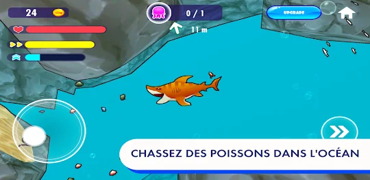 Requin Chasseur De Poisson