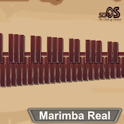  Marimba, Xylophone, Vibraphone Real 