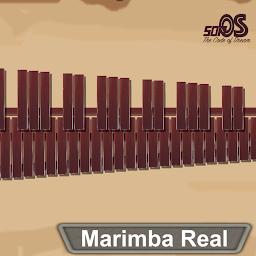 Icon image Marimba, Xylophone, Vibraphone