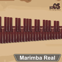 Marimba, Xylophone, Vibraphone Real