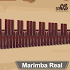 Marimba, Xylophone, Vibraphone Real2.1