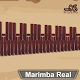 Marimba, Xylophone, Vibraphone Real Windows'ta İndir