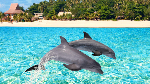 Parallax 3D Live Wallpaper Pro