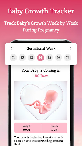 Android application Pregnancy Trecker Baby App screenshort