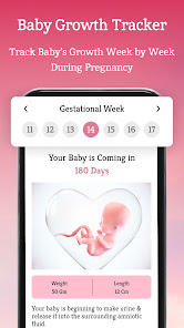 Pregnancy Trecker Baby App 1.6.0 APK + Mod (Free purchase) for Android