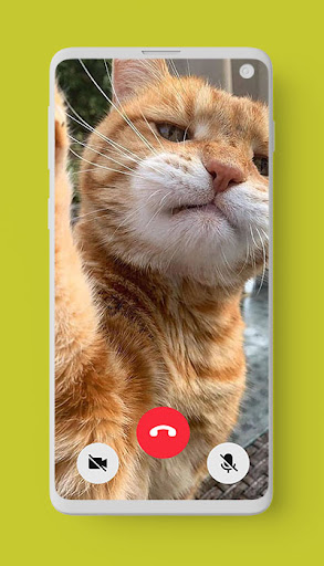 Download Cute Cat Video Call Prank Free For Android - Cute Cat Video Call  Prank Apk Download - Steprimo.Com