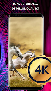 Imatge d'una captura de pantalla