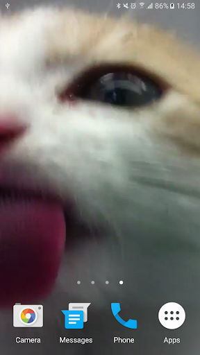 Logo https://play-lh.googleusercontent.com/F_RnnKAAF-an6Kge2DnC4Rj1s-F2kGFh80B0ipPvPi5RhAjCzzhqV1Ewo2-TkmicVMU