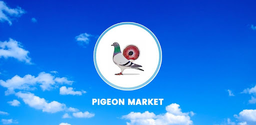 Pigeon Market