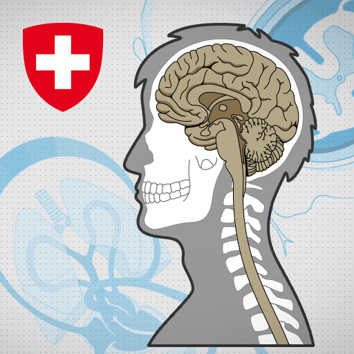 Körperlehre logo
