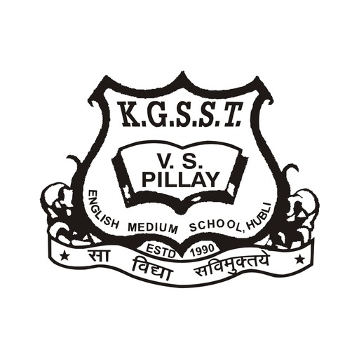 VS Pillay School