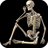 Skeletal System (Anatomy) icon