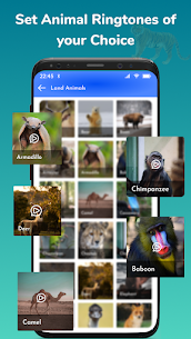 Animal Sounds Ringtone Maker APK for Android Download 3