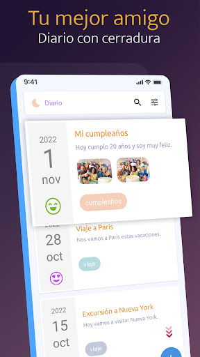Vista previa de la aplicación