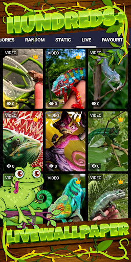 chameleon wallpaper Screenshot 3 - AppWisp.com