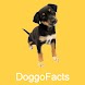 DoggoFacts - Androidアプリ