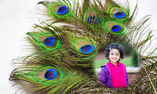 Android application Peacock Feathers Photo Frames screenshort
