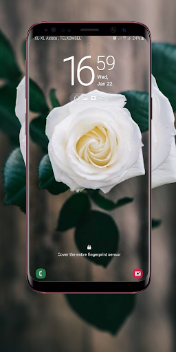 Full HD Rose Wallpaper Screen 3