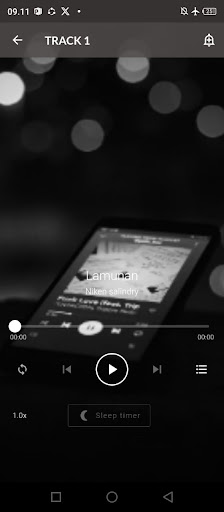 Lamunan Niken Salindry