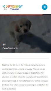 Puppy Training Screenshot