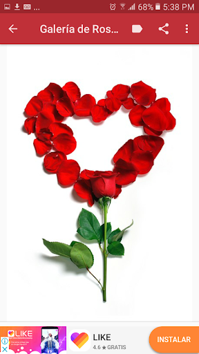 Rosas Rojas de Amor Screen 2