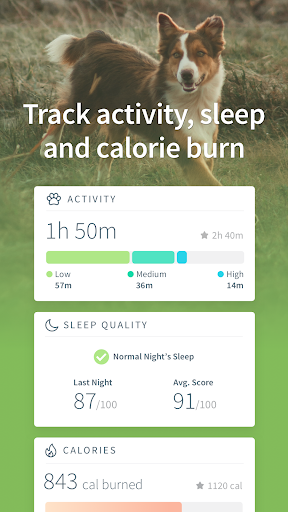 Sure Petcare - Animo Screen 3
