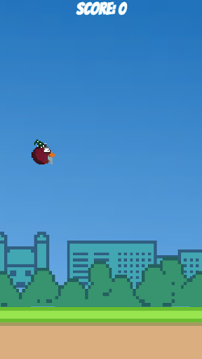 Magic Bird Screen 2