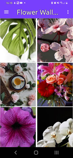Android application Flower Wallpaper screenshort