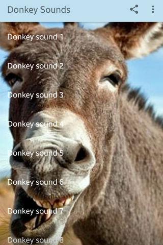 Donkey Sounds Screen 2