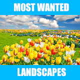 Most Wanted Landscape Pics HD icon
