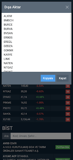 Borsa Screen 3