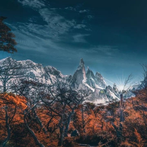 Wallpepars Nature (1) 4K 2022 logo
