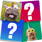 Memory Game: Fun Animals