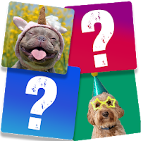 Memory Game: Fun Animals
