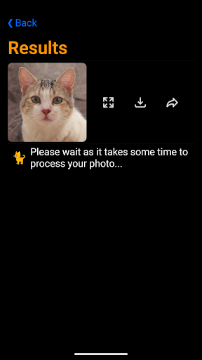 CatifAI Screen 3