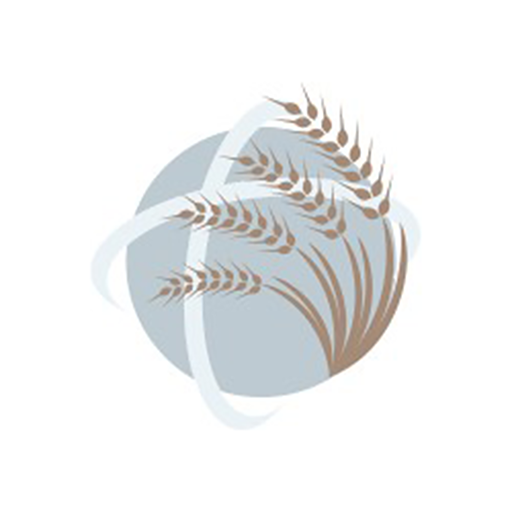 Cheyenne Apostolic logo