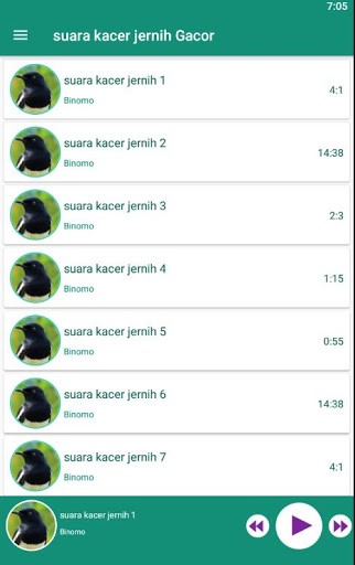 Suara Kacer Jernih Gacor