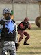 screenshot of Paintball Attack 3D: Color War