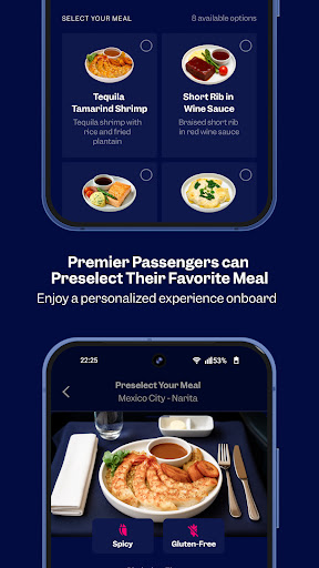 Aeroméxico screenshot 5