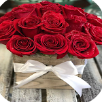 Cover Image of Download Pictures of Roses  APK