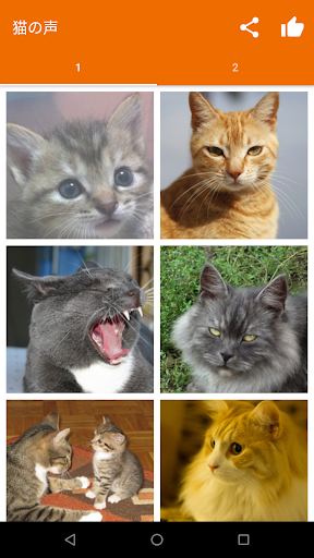 猫の為の猫の鳴き声 猫用 Google Play のアプリ
