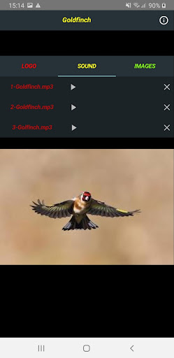 Goldfinch Screen 2