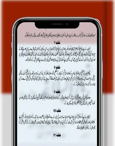 Nahjul balagah book in urdu
